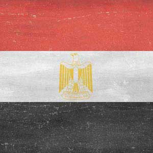 Egyptian Flag Distressed Cochlear Nucleus 5 Sound Processor Skin